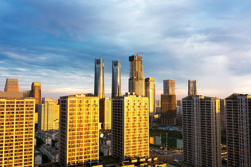 房地產投資環境全景掃描 機遇、挑戰與未來趨勢